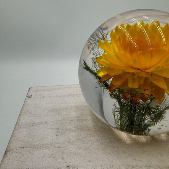 Anthropologie Resin Paperweight, Yellow Helichrysum straw flower vintage vibe - Picture 4 of 8